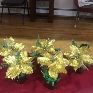 Christmas miniature flower pot